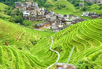 龙脊梯田第 78 张图片