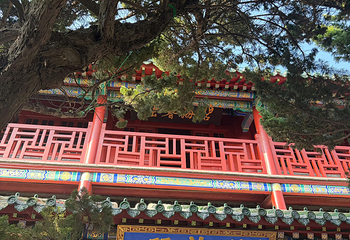 蓬莱阁第 184 张图片