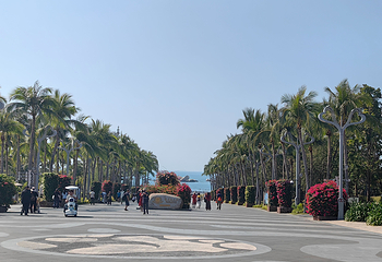天涯海角第 196 张图片