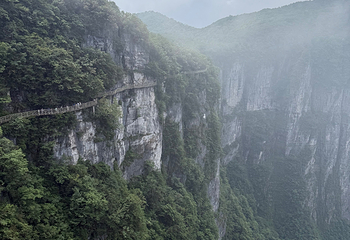 天门山国家森林公园第 500 张图片