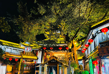 锦里古街第 44 张图片