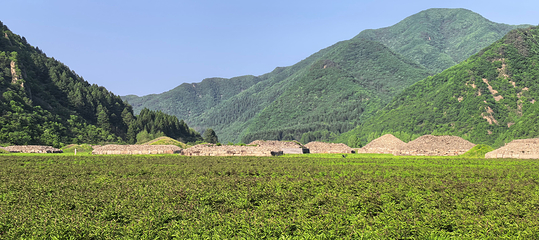 高句丽文物古迹旅游景区第 21 张图片