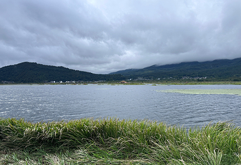 北海湿地第 130 张图片