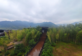 大唐贡茶院第 21 张图片
