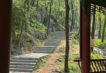 泰山风景区第 363 张图片