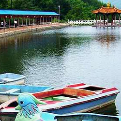 柳河森林公园