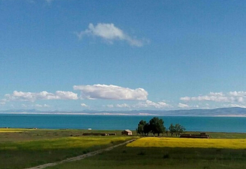 青海湖景区第 203 张图片