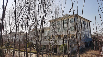 沛县微山湖千岛湿地景区-大运河文化园第 1 张图片