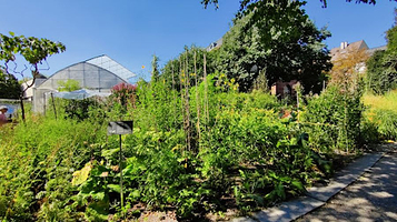 巴塞尔大学附属植物园