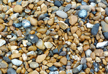 Seaford Beach第 7 张图片