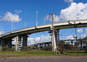 白鸟大桥展望台