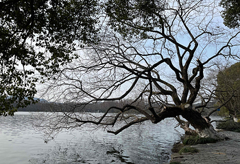 西湖风景名胜区第 263 张图片