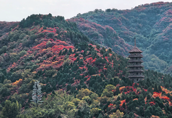 红叶谷第 21 张图片