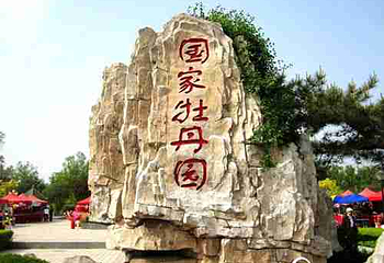 国家牡丹园第 6 张图片