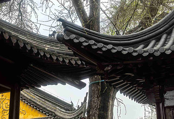 焦山第 49 张图片