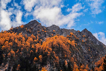 四姑娘山双桥沟景区第 30 张图片