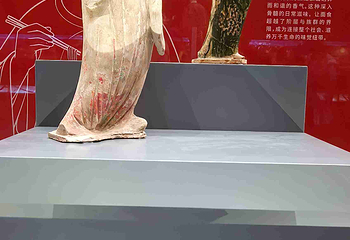 陕西历史博物馆第 328 张图片