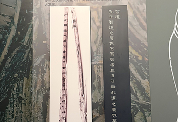 南昌汉代海昏侯国遗址公园第 92 张图片