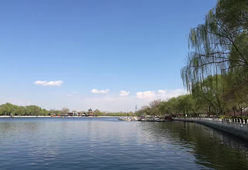 什刹海风景区第 228 张图片
