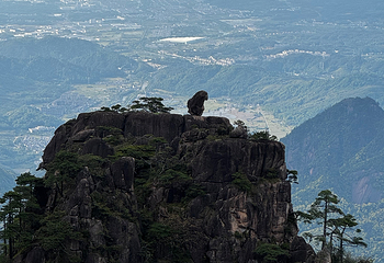 黄山风景区第 276 张图片