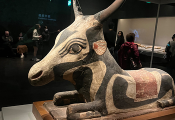 香港故宫文化博物馆第 116 张图片