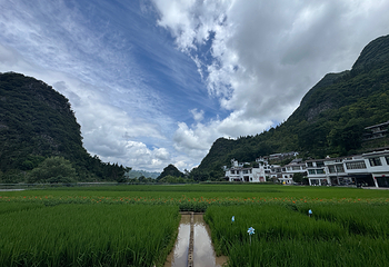万峰林景区第 108 张图片