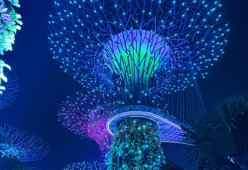 新加坡滨海湾花园第 307 张图片
