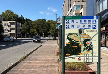 北海道神宫第 28 张图片