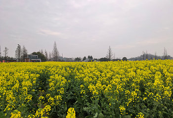 下渚湖·湿地公园第 62 张图片