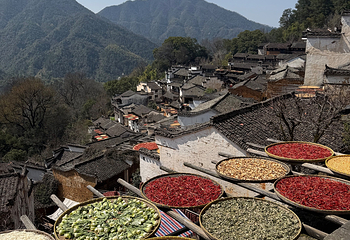 婺源篁岭景区第 338 张图片