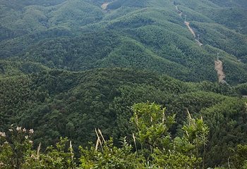 梅岭国家级风景名胜区第 34 张图片