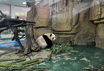成都动物园第 35 张图片