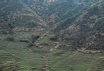 婺源风景区第 159 张图片