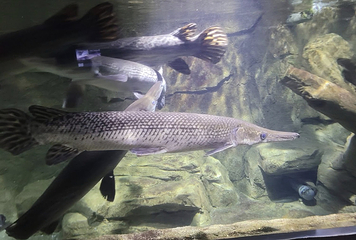 河内时代之城水族馆第 10 张图片