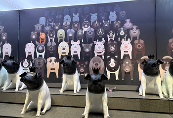 熊猫猪猪两头乌国际牧场第 59 张图片