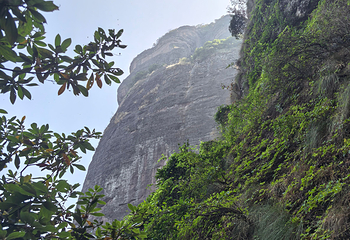 江郎山风景名胜区第 131 张图片