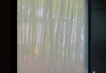 苏州博物馆第 263 张图片