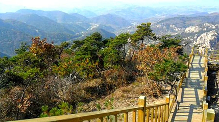 东门风景区第 1 张图片