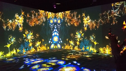 奇幻光影乐园第 1 张图片