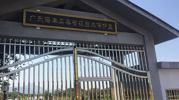 广东海丰鸟类省级自然保护区