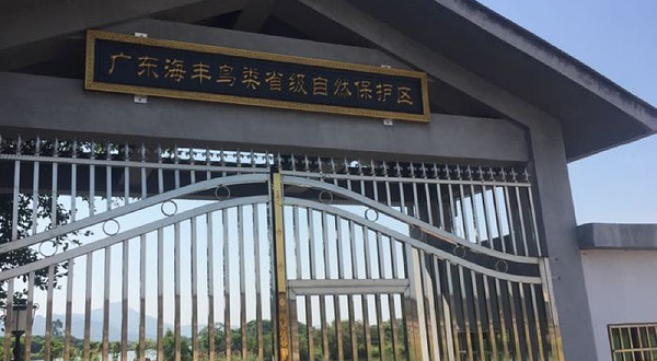 广东海丰鸟类省级自然保护区