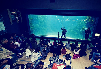 里昂水族馆第 18 张图片