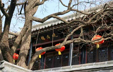 十笏园第 49 张图片