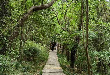 采石矶第 85 张图片