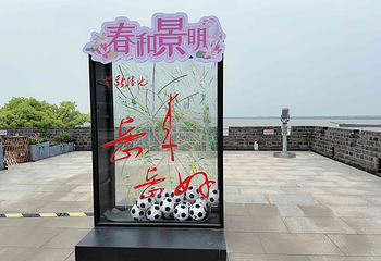岳阳楼景区第 52 张图片