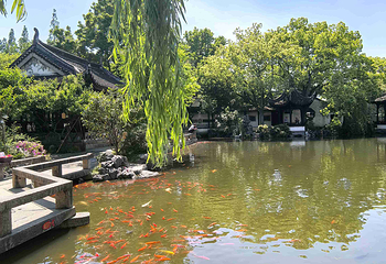 同里古镇第 178 张图片