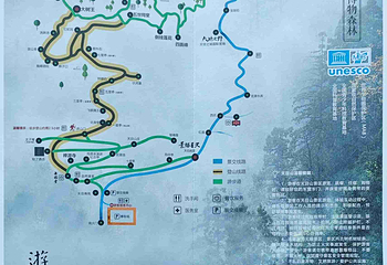 天目山自然保护区第 98 张图片