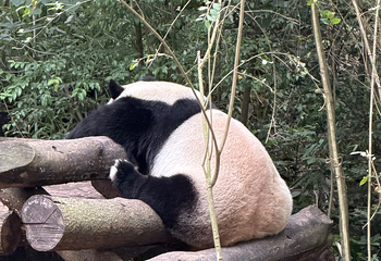青秀山第 201 张图片