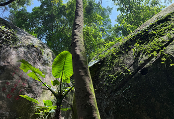 云洞岩风景名胜区第 8 张图片