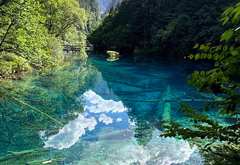 九寨沟风景区第 499 张图片